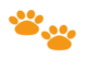 impronta zampette di cane di colore arancione